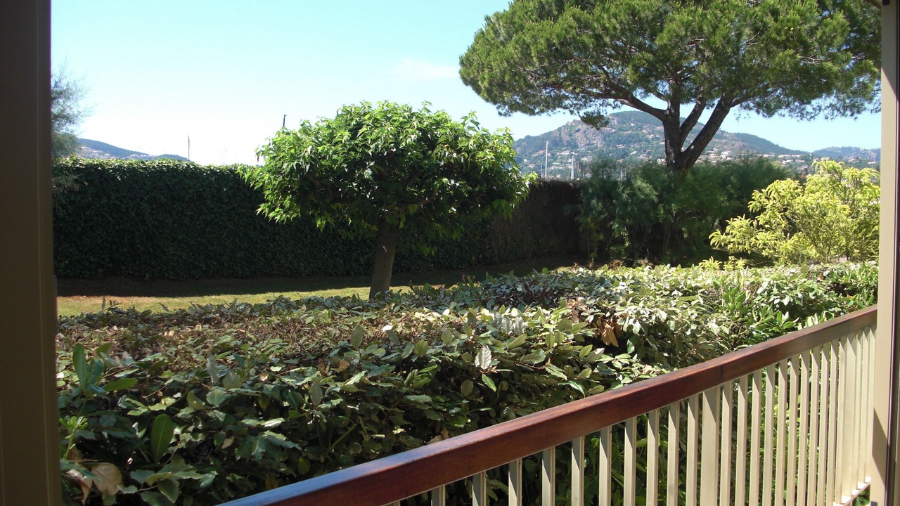 Photo of Outdoor in Mandelieu-la-Napoule Beach