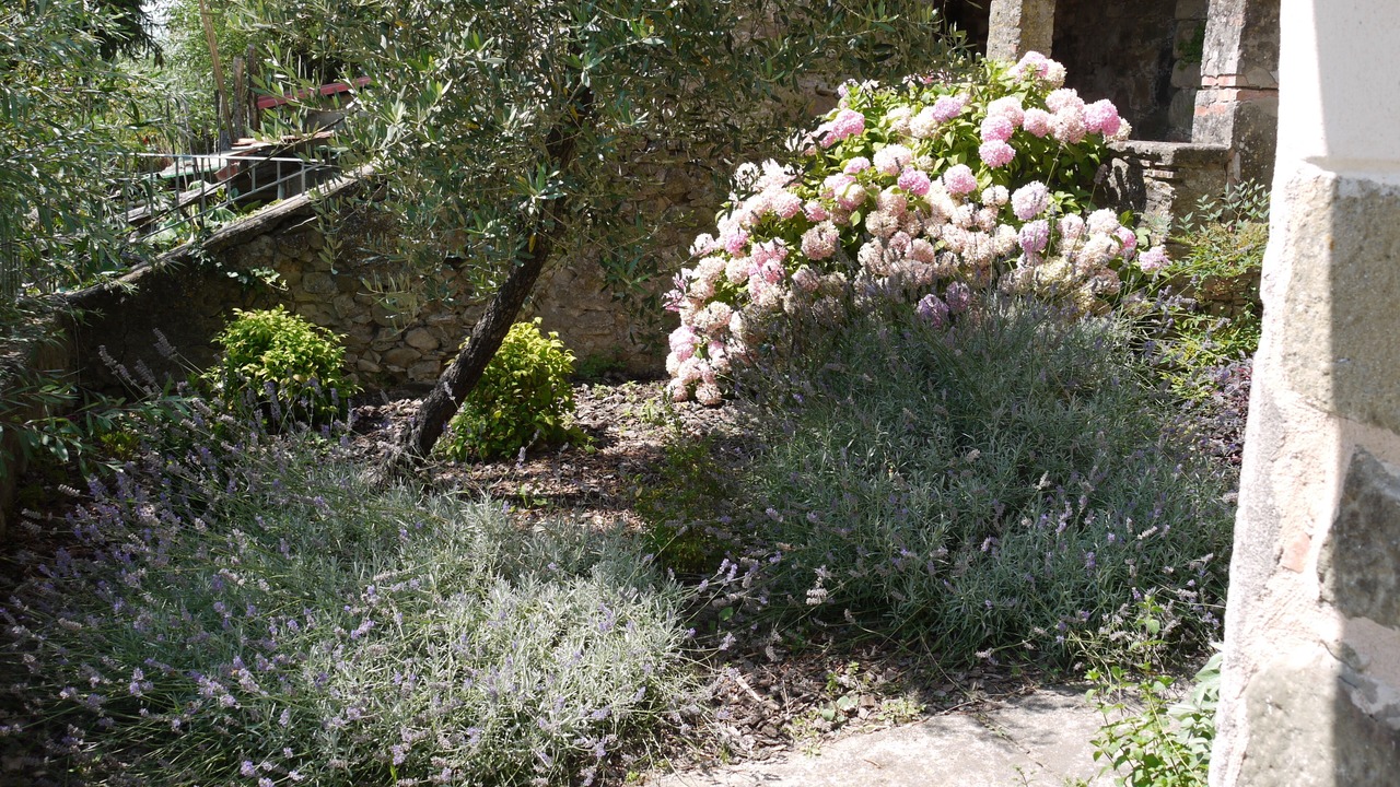 Photo of Outdoor in Lugliano