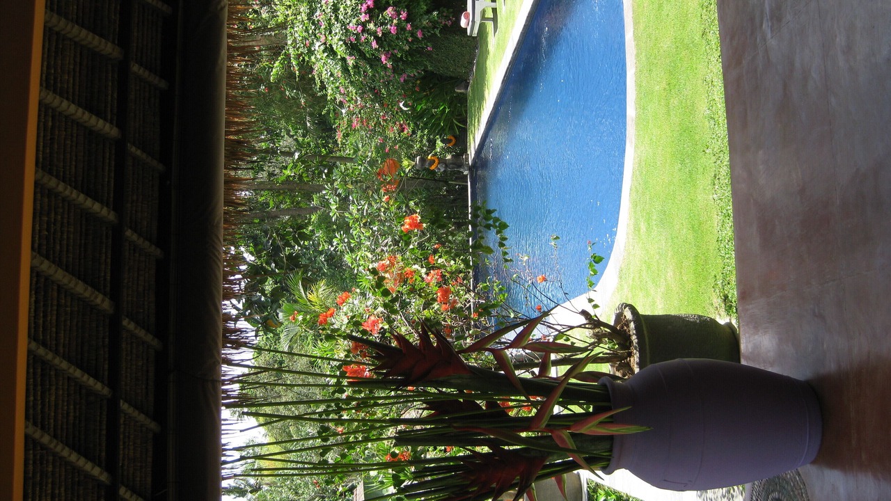 Photo of Outdoor in Cepaka