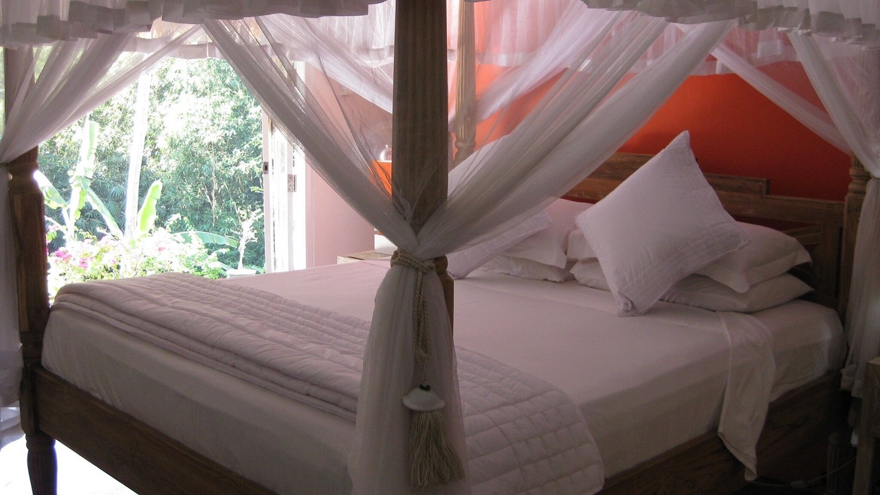 Photo of Bedroom in Cepaka