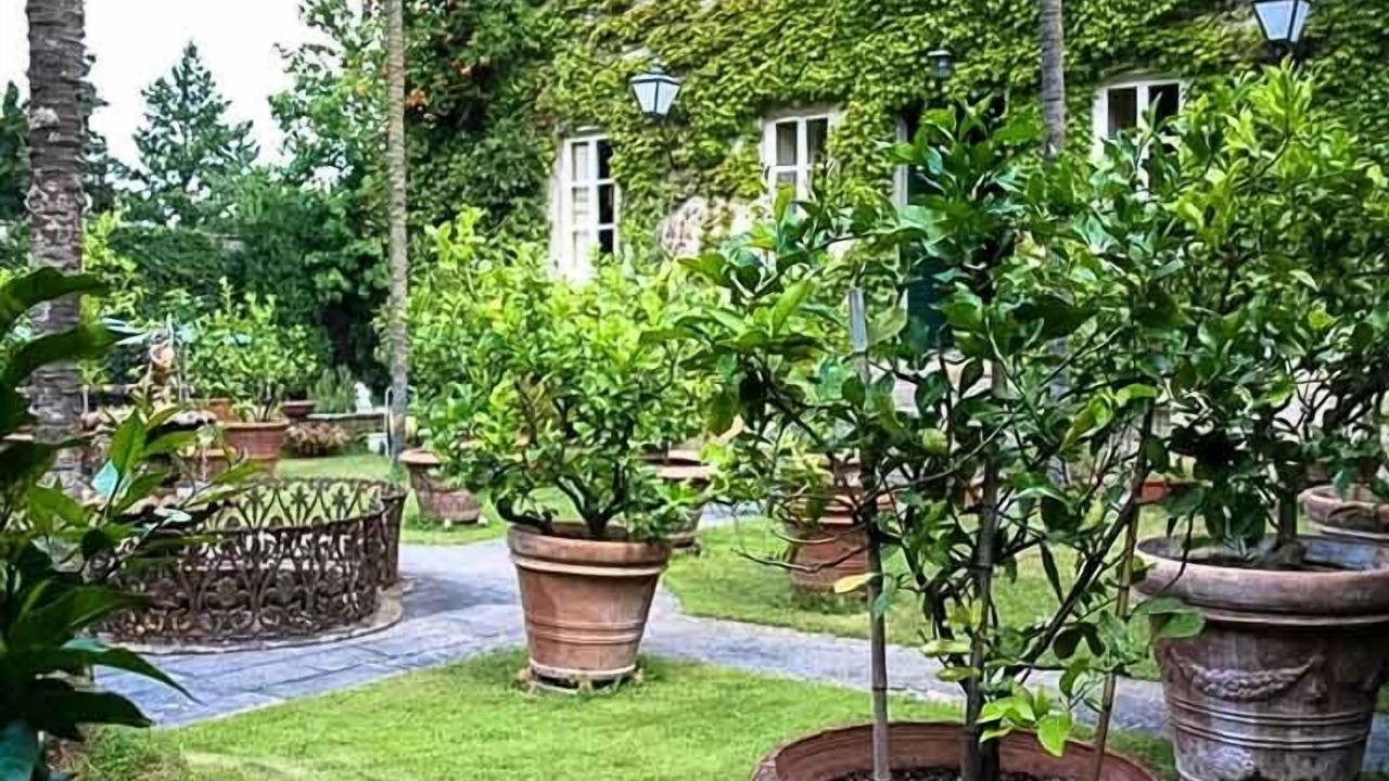 Photo of Outdoor in Vorno