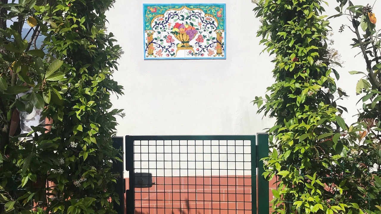Photo of Outdoor in Cinquale