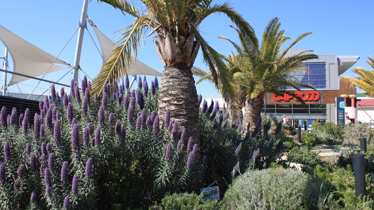 Photo of Outdoor in Saint-Laurent-du-Var