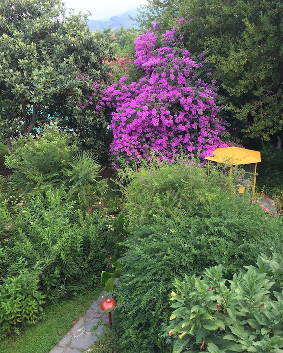 Photo of Outdoor in Querceta