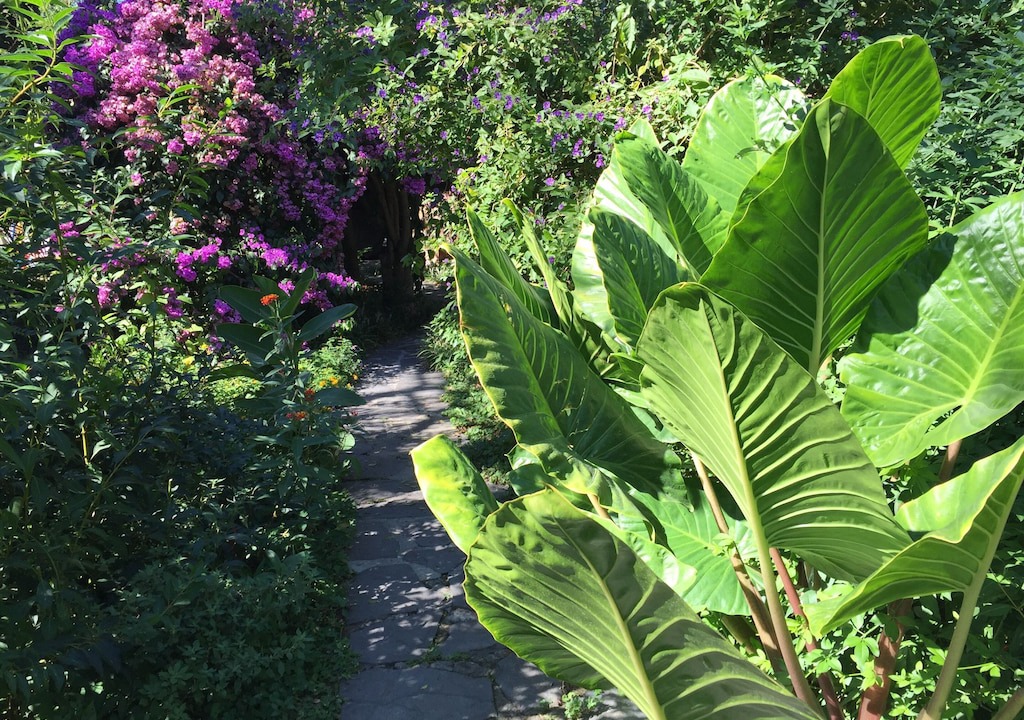 Photo of Outdoor in Querceta