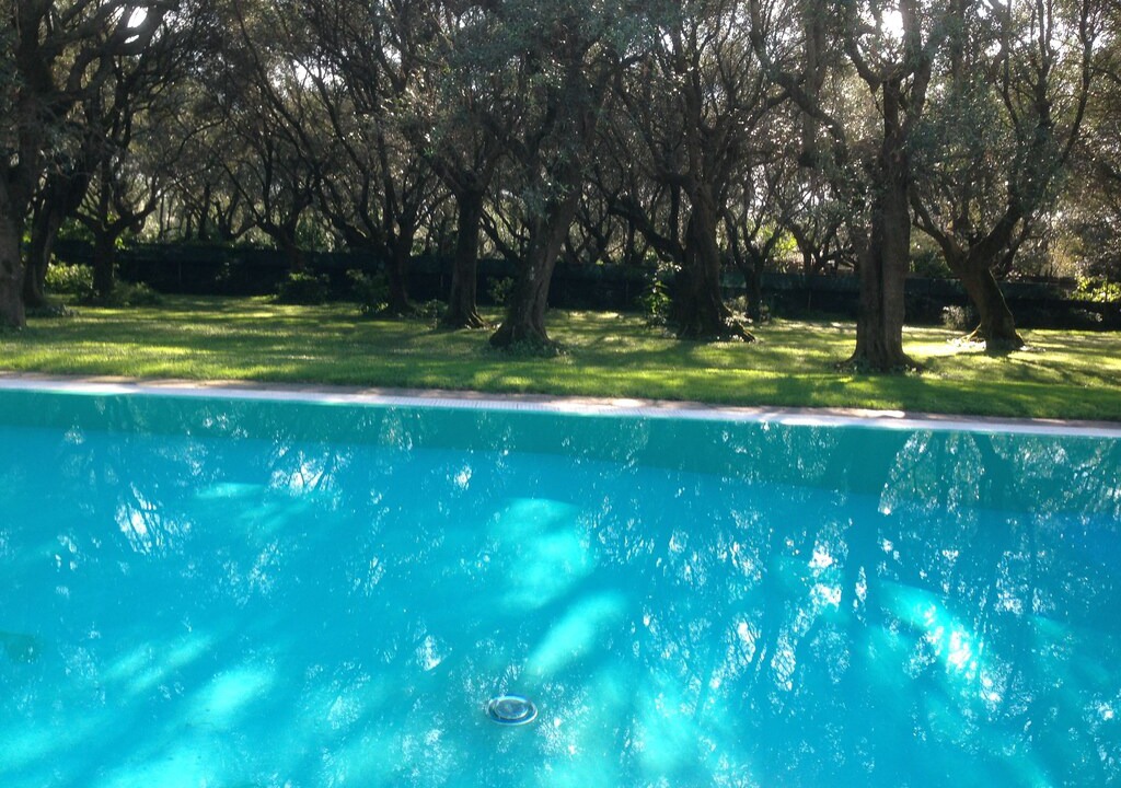 Photo of Outdoor in Querceta