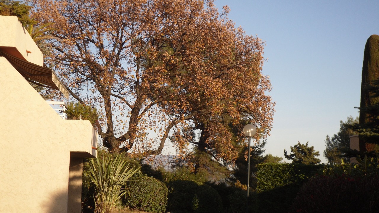 Photo of Others in Vence