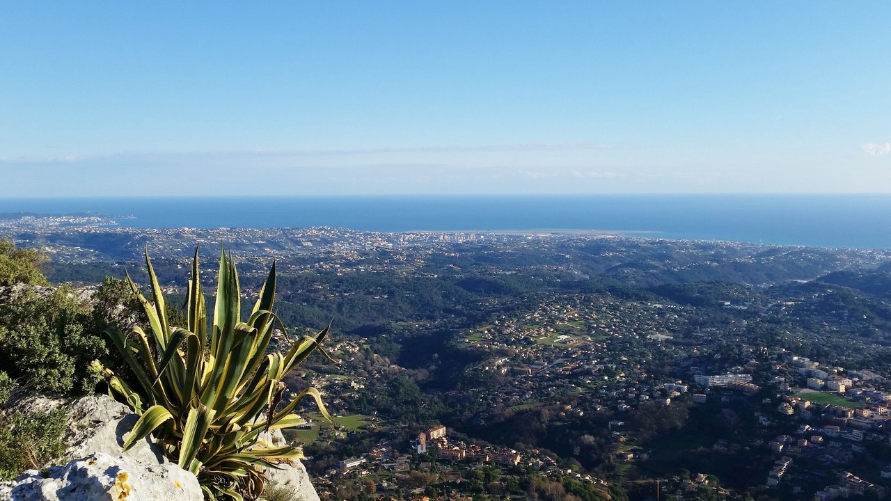Photo of Others in Vence