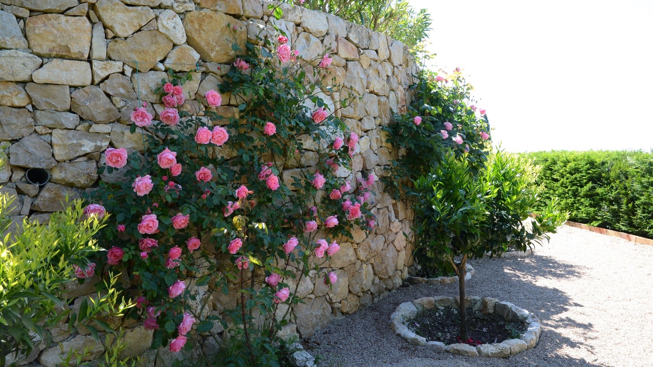 Photo of Outdoor in Vence