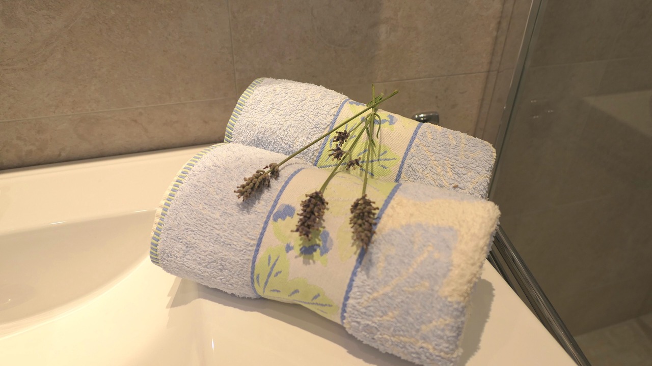 Photo of Bathroom in Vence