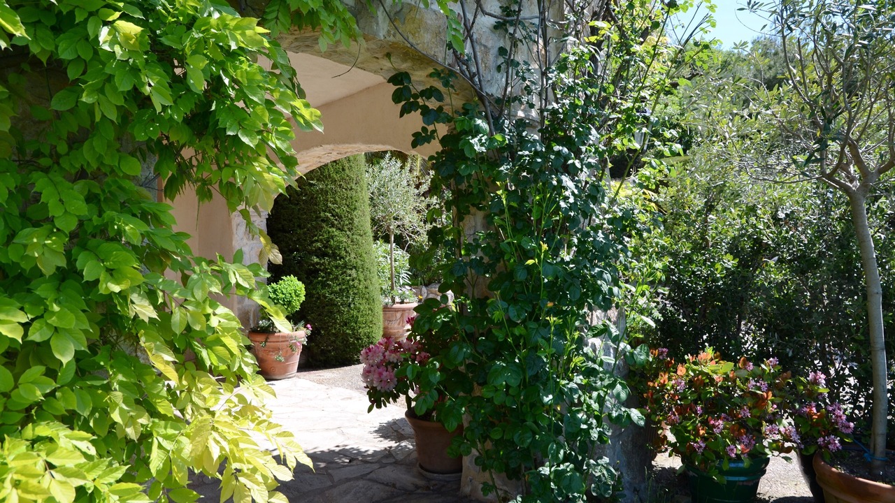 Photo of Outdoor in Vence