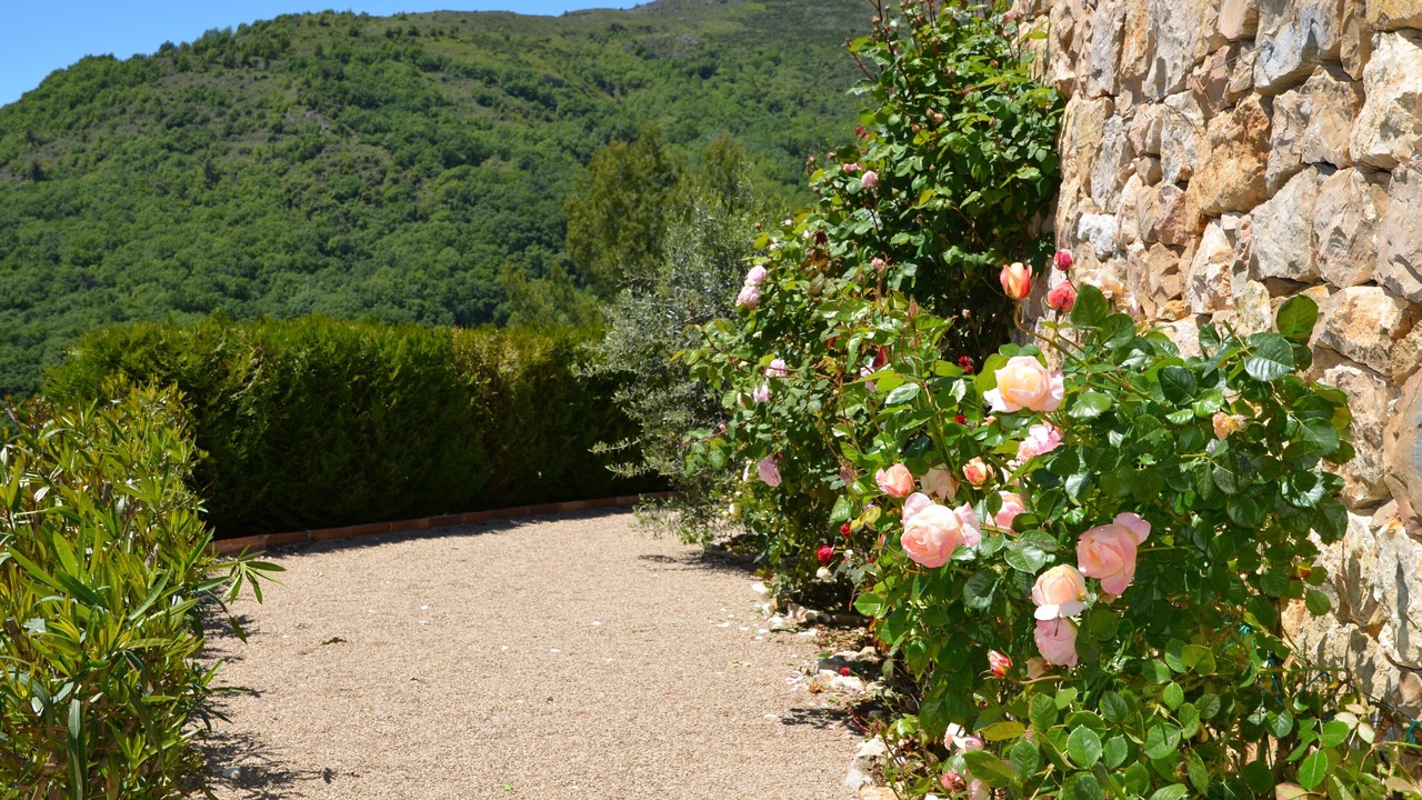 Photo of Outdoor in Vence