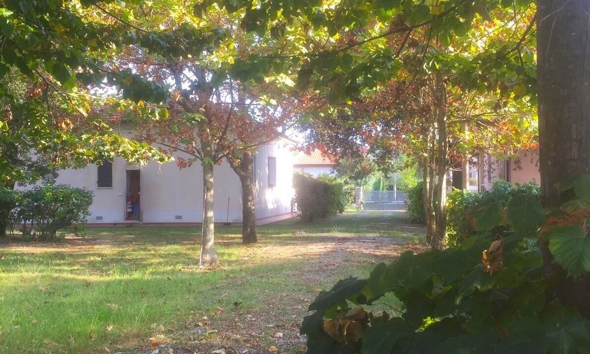 Photo of Outdoor in Marina di Pietrasanta