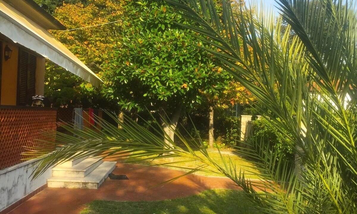 Photo of Outdoor in Marina di Pietrasanta