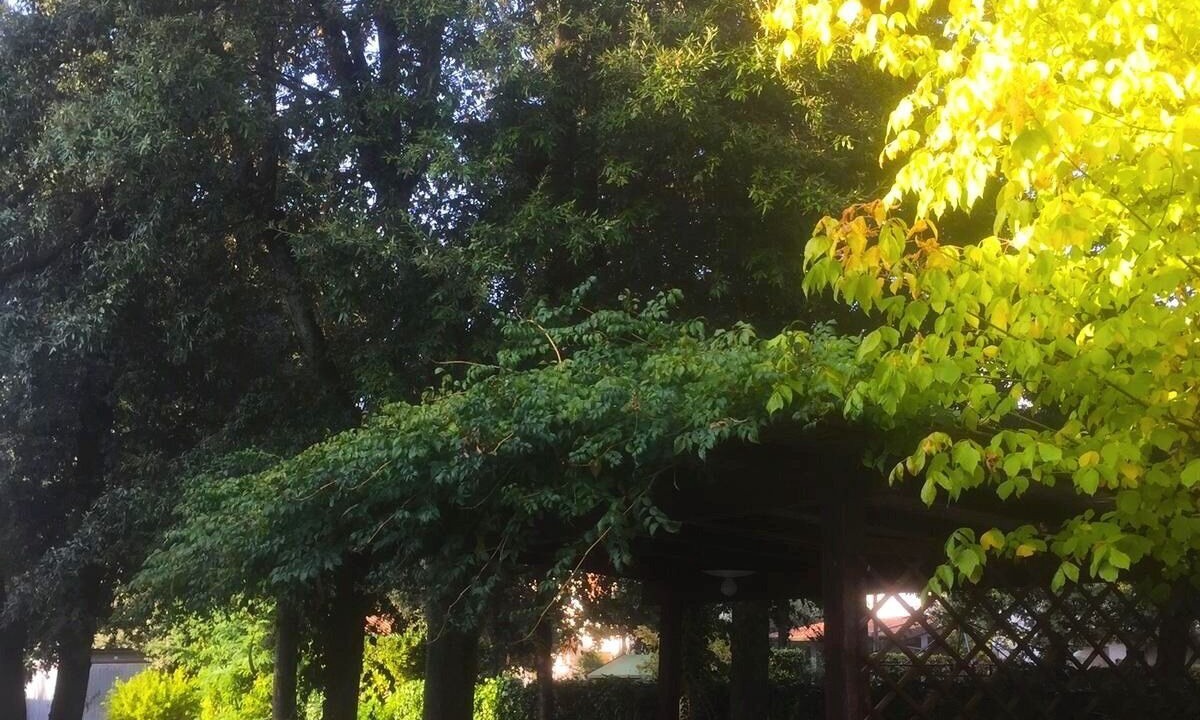 Photo of Outdoor in Marina di Pietrasanta