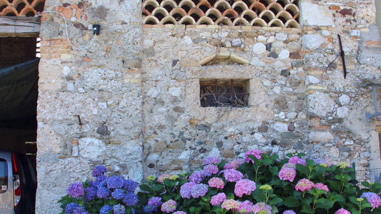 Photo of Outdoor in San Daniele del Friuli