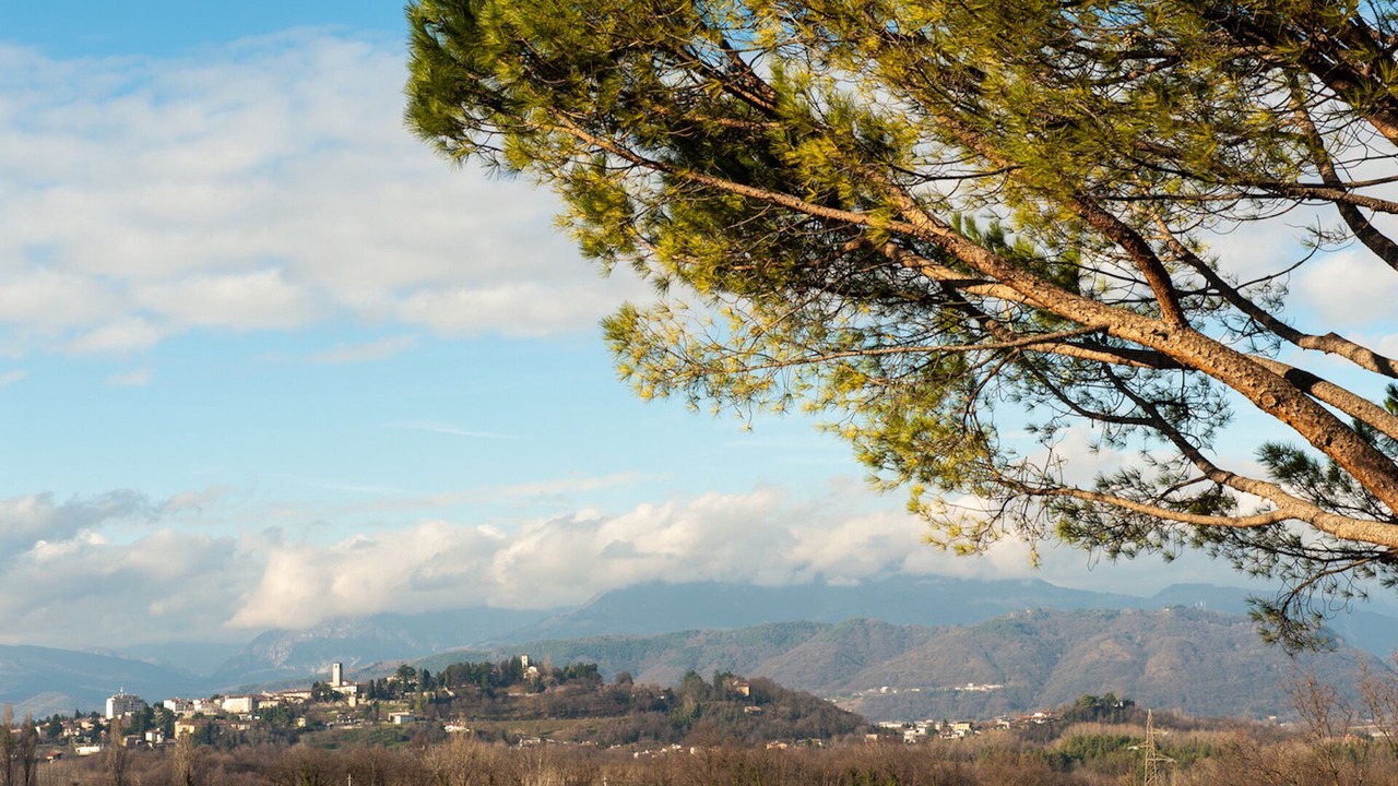 Photo of Others in San Daniele del Friuli