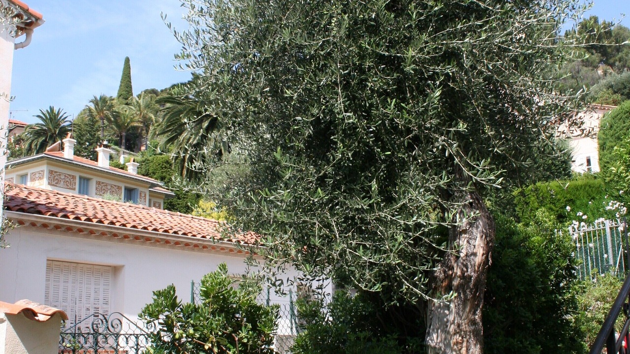 Photo of Outdoor in Beaulieu-sur-Mer