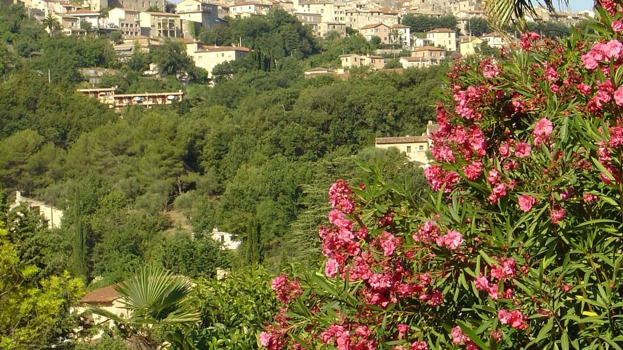 Photo of Others in Vence