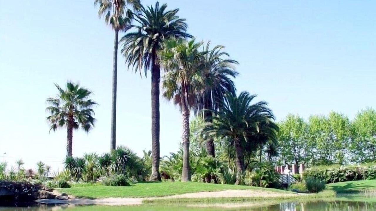 Photo of Outdoor in Golfe Juan