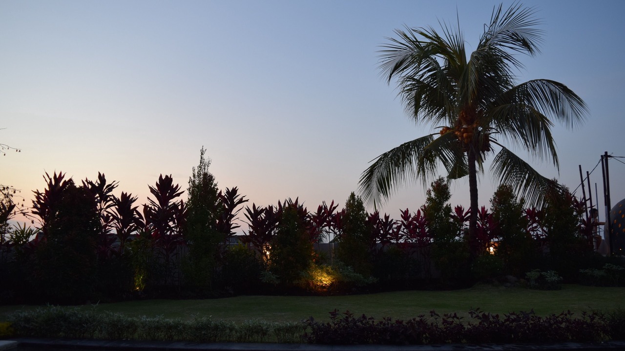 Photo of Outdoor in Kayu Putih