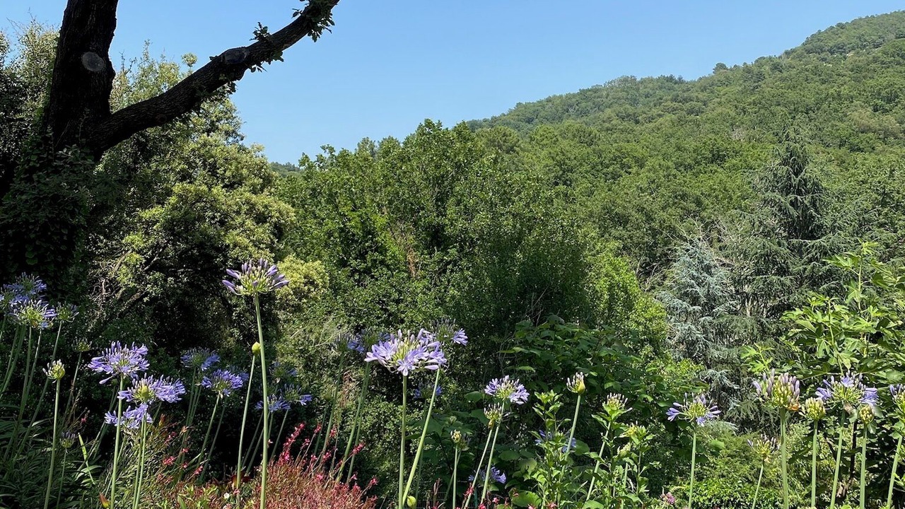 Photo of Outdoor in La Garde-Freinet