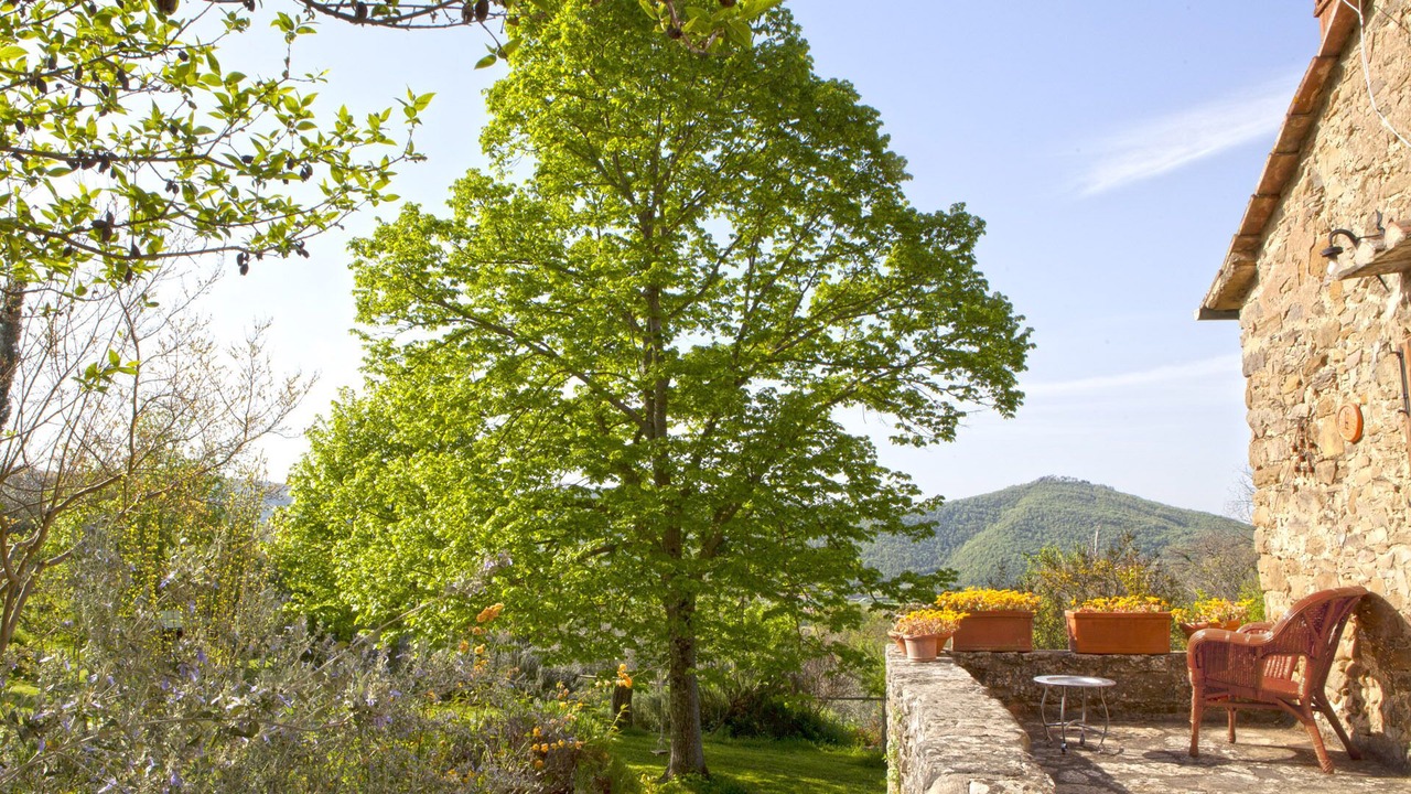 Photo of Others in Cortona