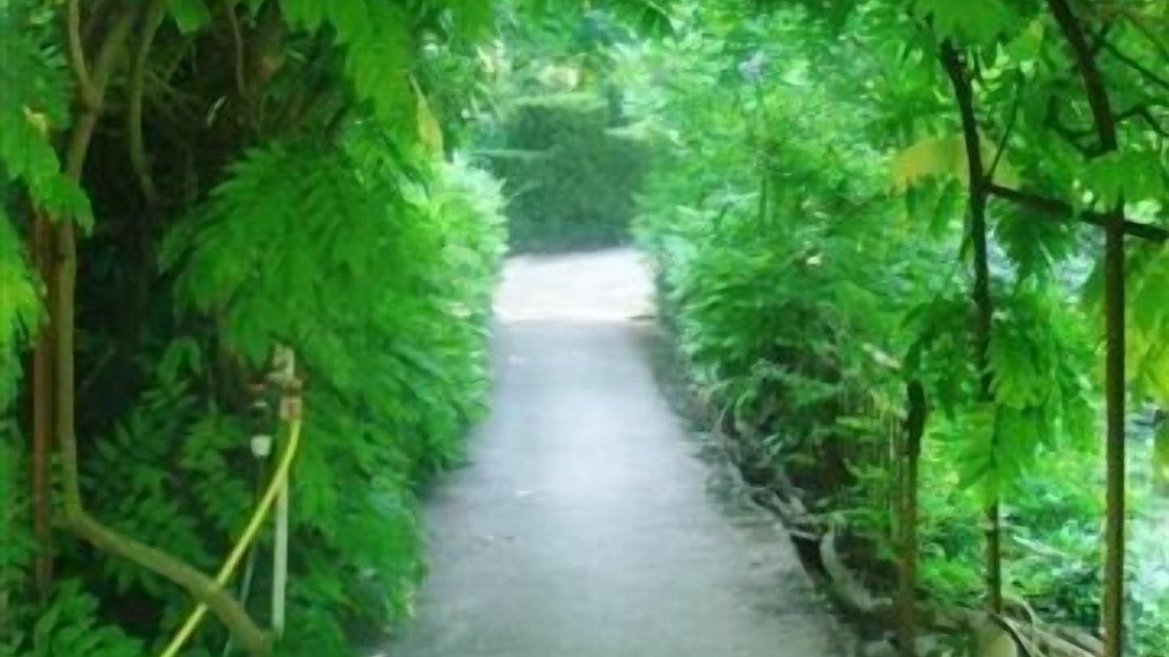 Photo of Outdoor in Mouans-Sartoux