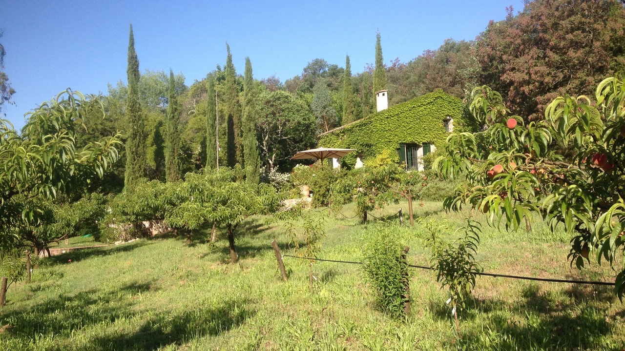 Photo of Others in Mouans-Sartoux