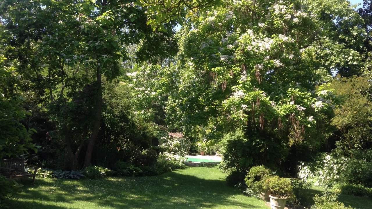 Photo of Outdoor in Mouans-Sartoux