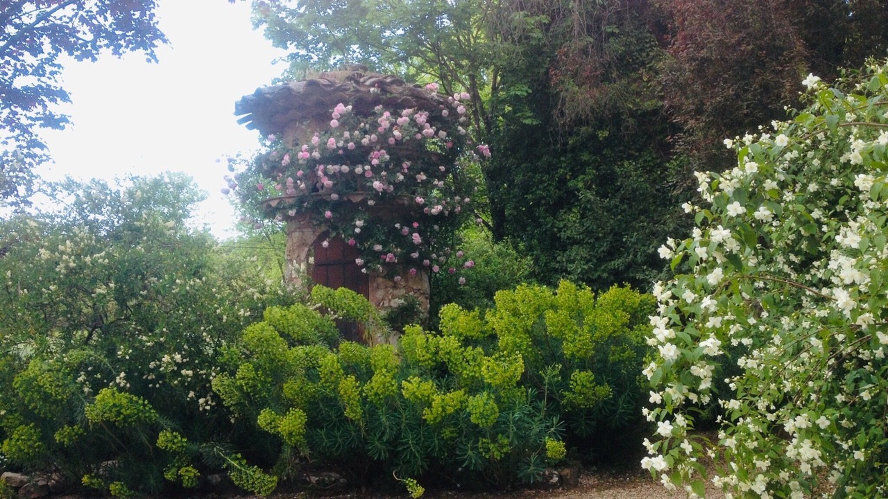 Photo of Outdoor in Mouans-Sartoux