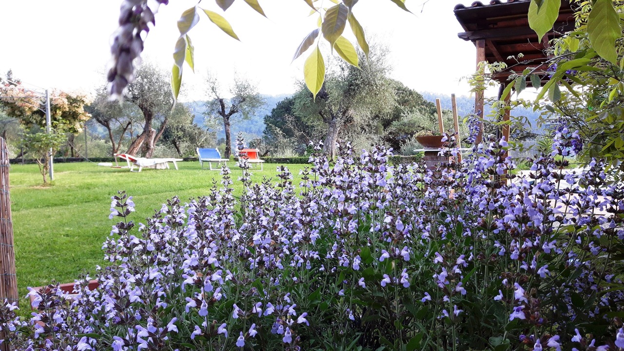 Photo of Others in Camaiore