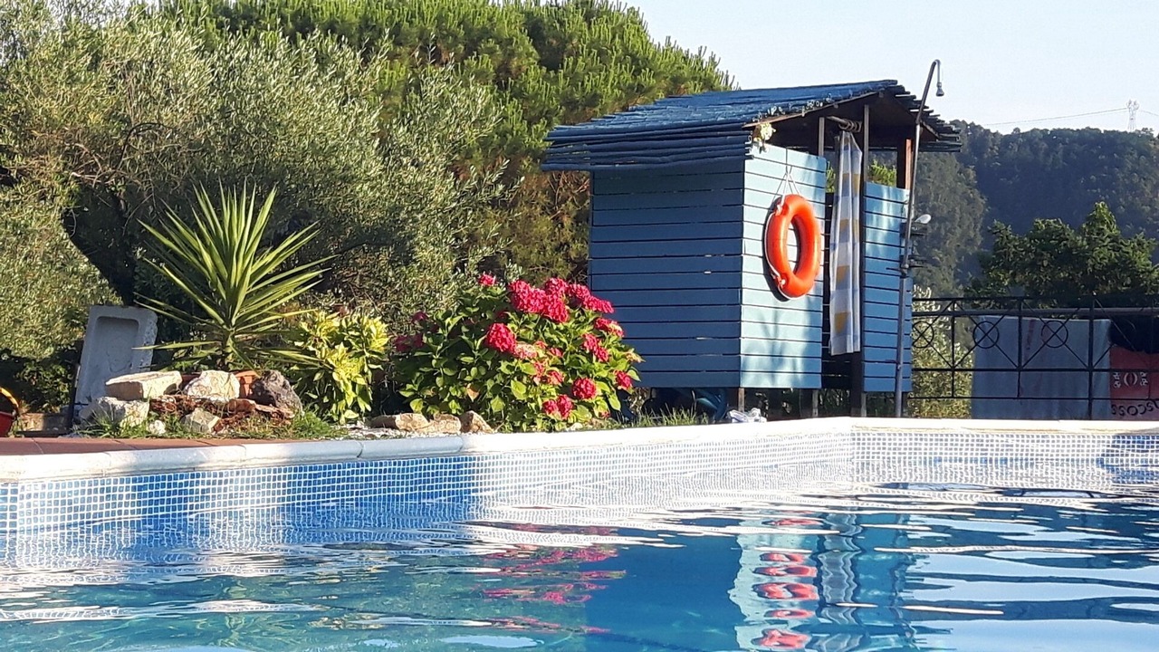 Photo of Outdoor in Camaiore