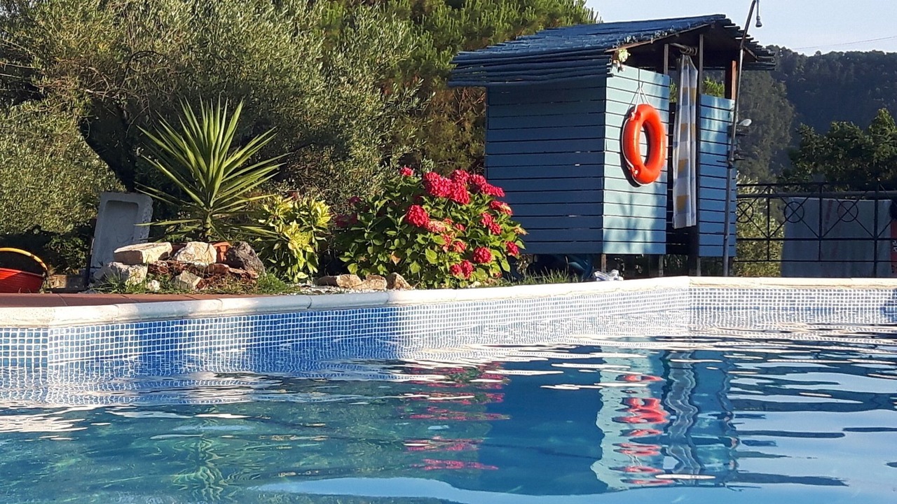Photo of Outdoor in Camaiore