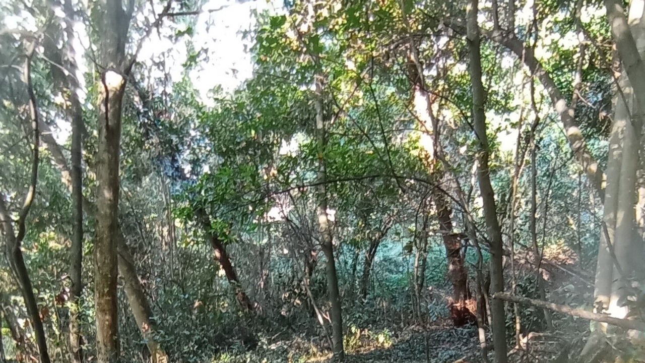 Photo of Outdoor in Camaiore