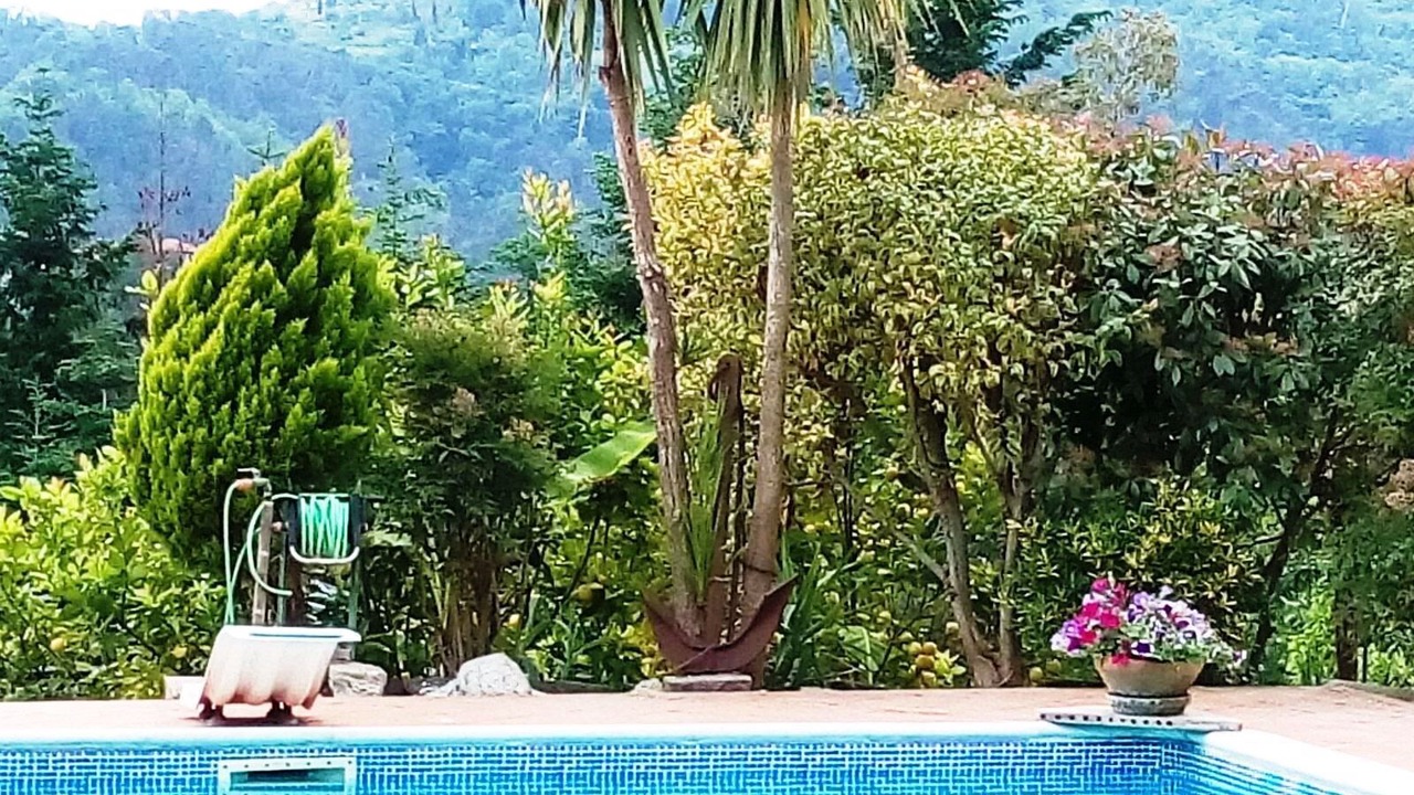 Photo of Outdoor in Camaiore
