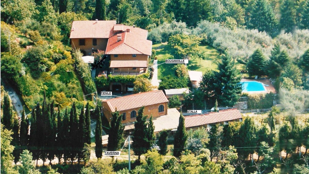 Photo of Others in Camaiore