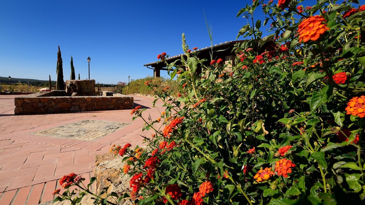 Photo of Outdoor in Casalappi