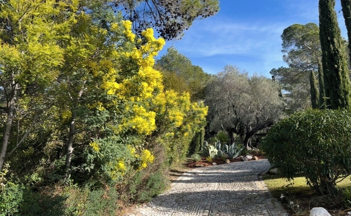 Photo of Outdoor in Mougins