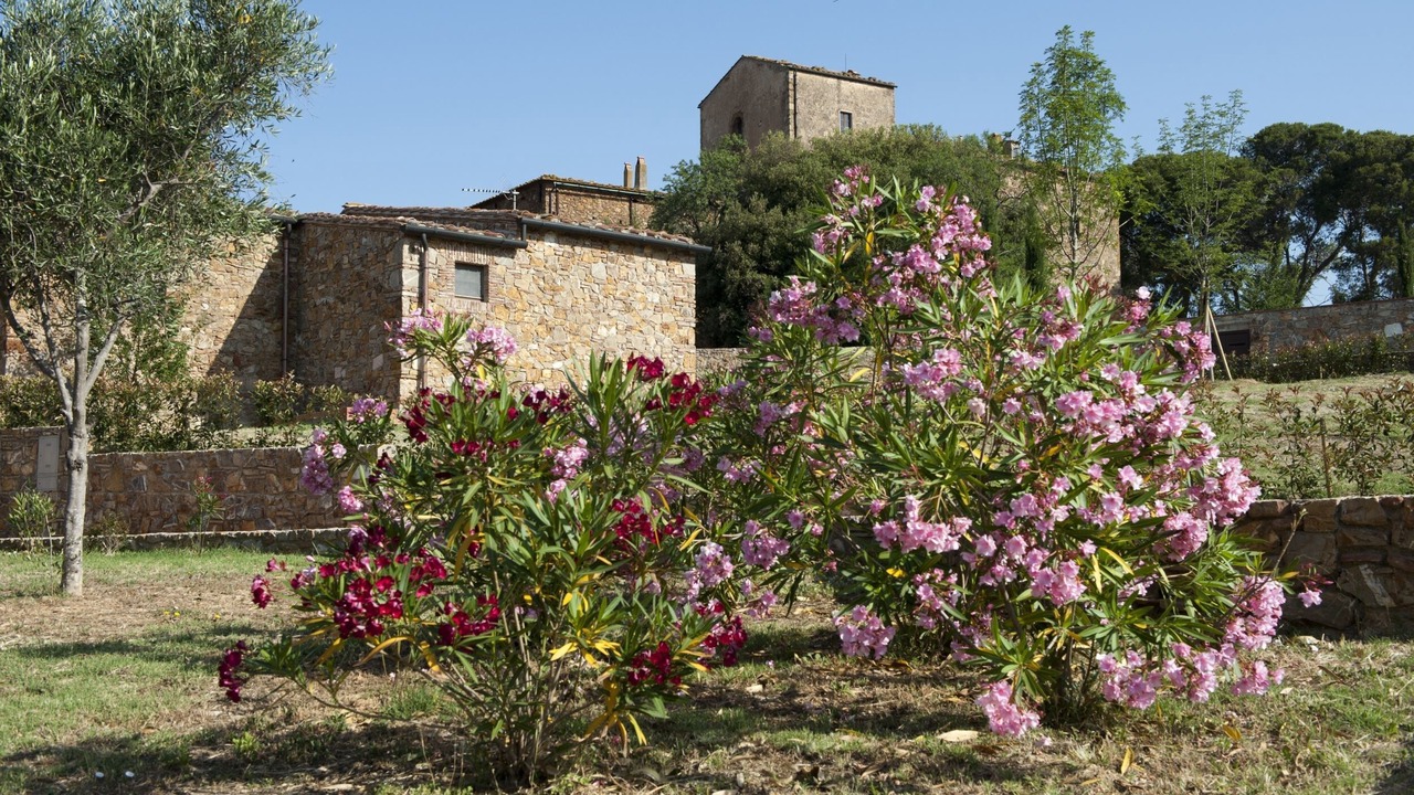 Photo of Outdoor in Casalappi