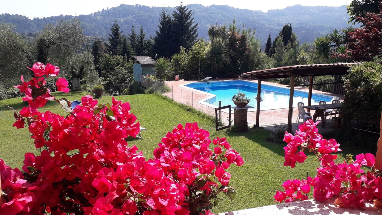 Photo of Outdoor in Camaiore