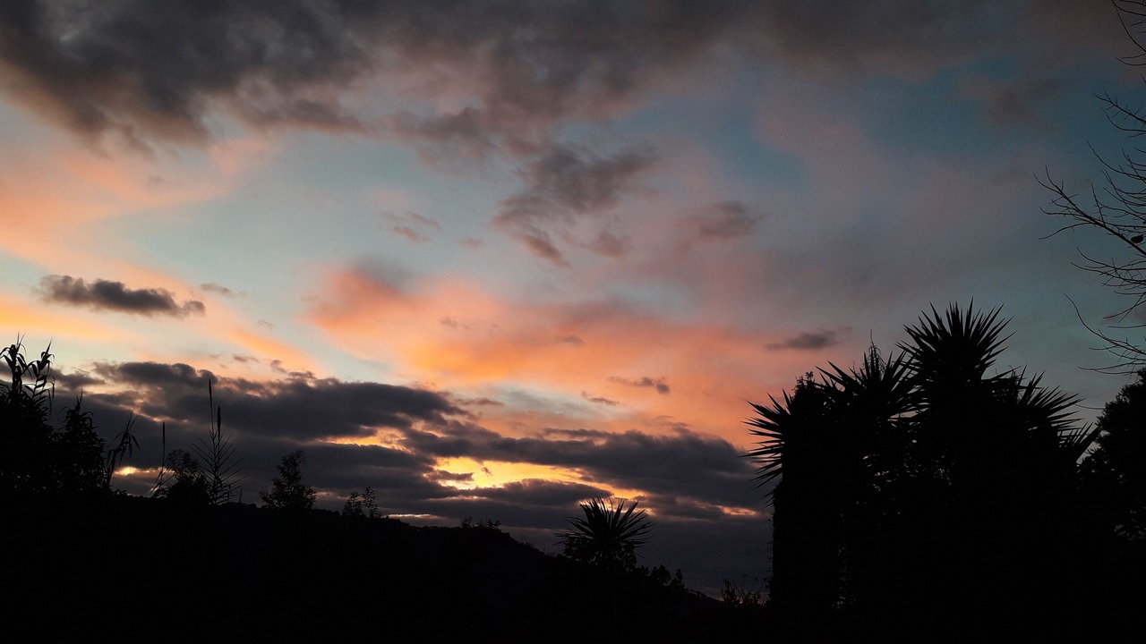 Photo of Others in Camaiore