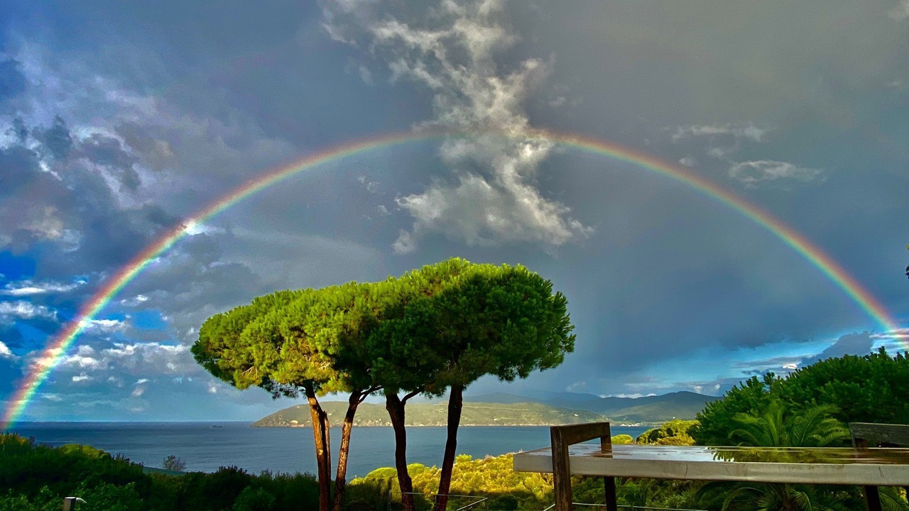Photo of Outdoor in Capoliveri