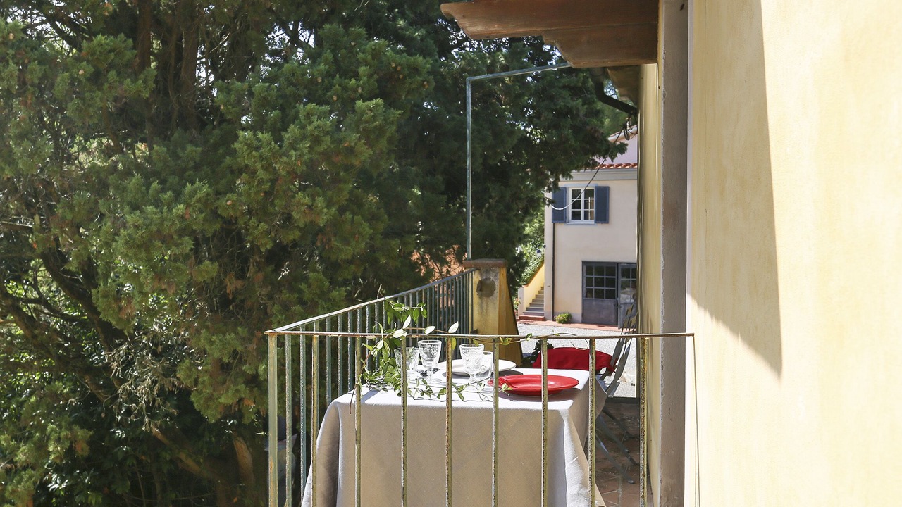 Photo of Outdoor in Fauglia