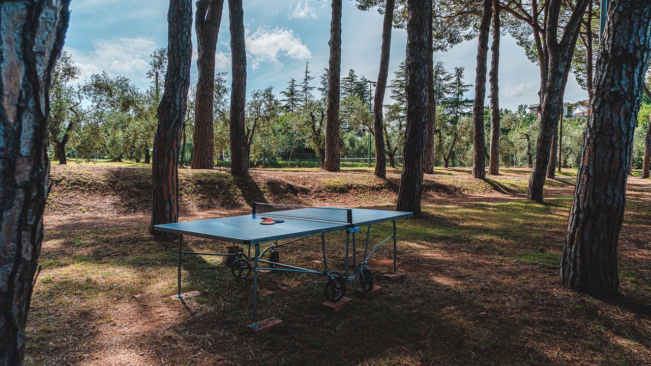 Photo of Outdoor in Fauglia
