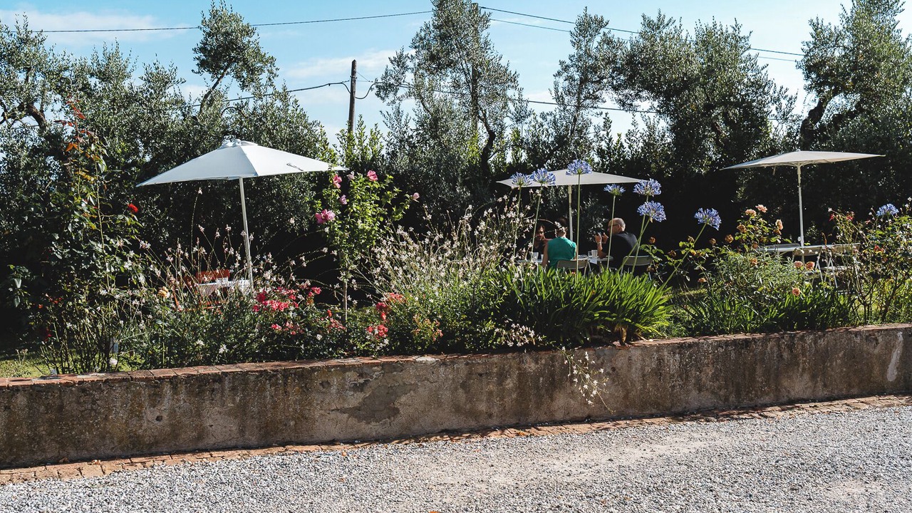 Photo of Outdoor in Fauglia