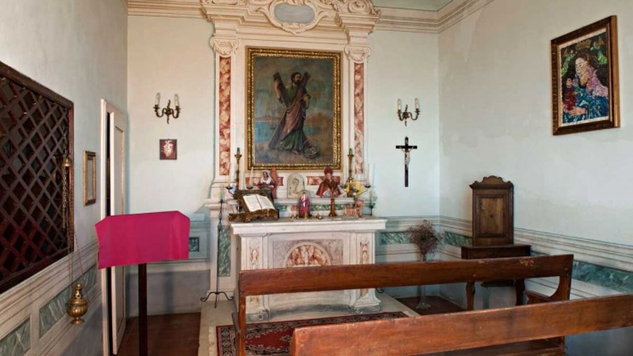 Photo of Others in Camaiore
