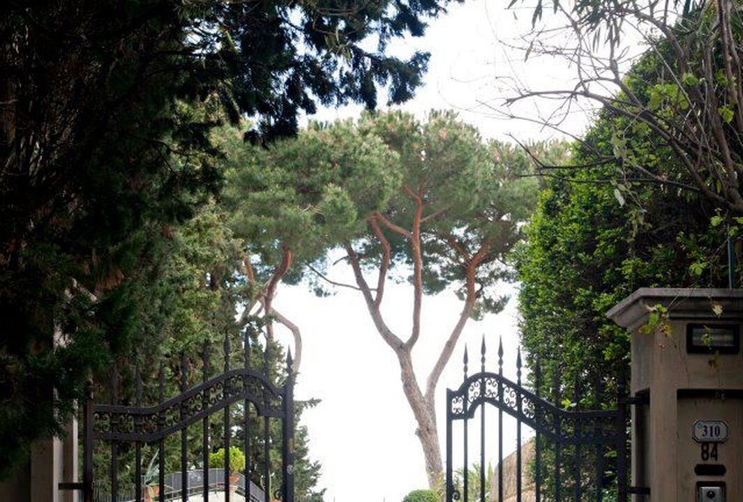Photo of Outdoor in Camaiore