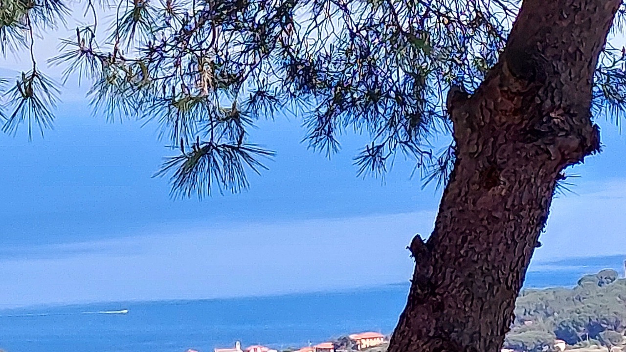 Photo of Others in Rio nell'Elba
