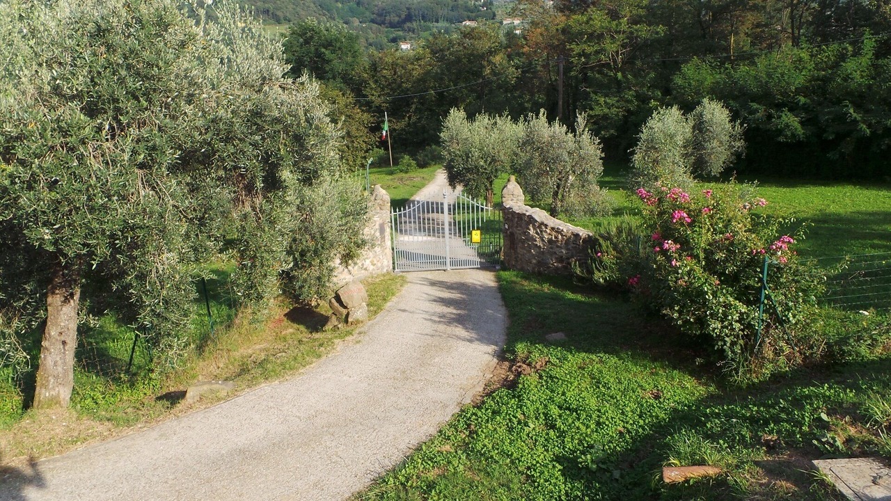 Photo of Others in Pescia